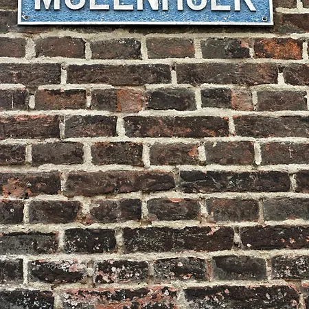 Pur Sang - Sfeervol Verblijven Aan De Waal In Hartje *